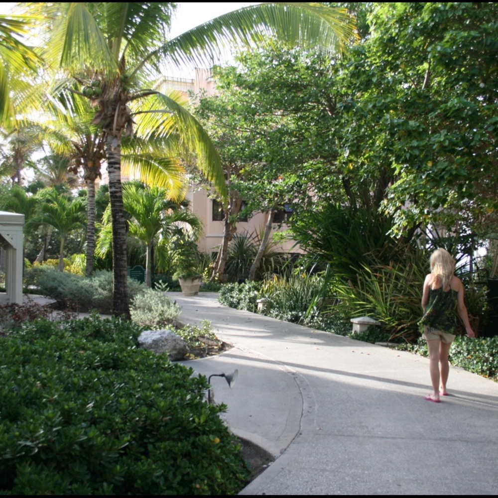 Welcome - Picture 3 of 14